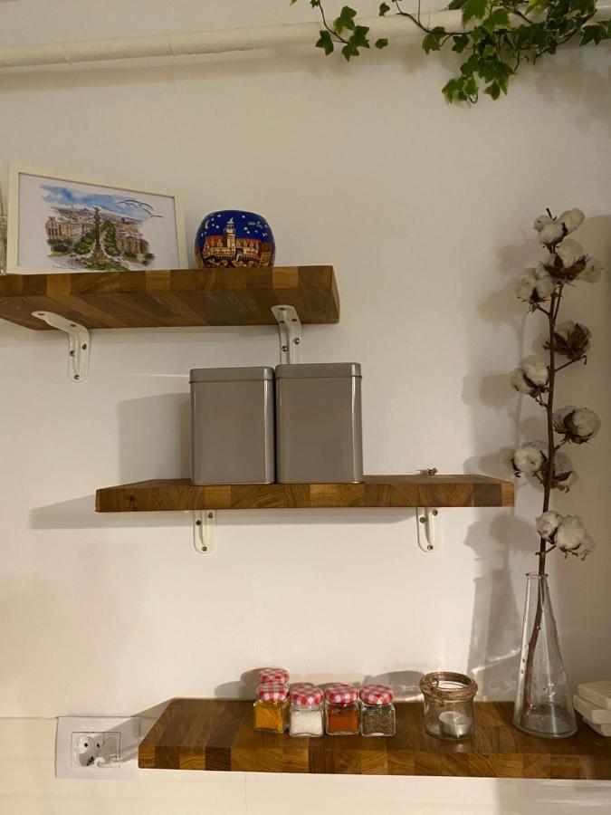 קלוז'-נאפוקה Helga'S Place Premium 1 Bedroom Condo מראה חיצוני תמונה